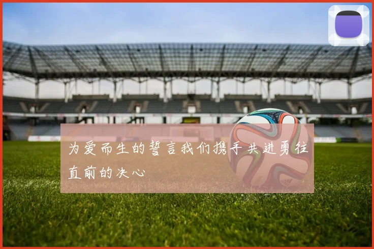 为爱而生的誓言我们携手共进勇往直前的决心