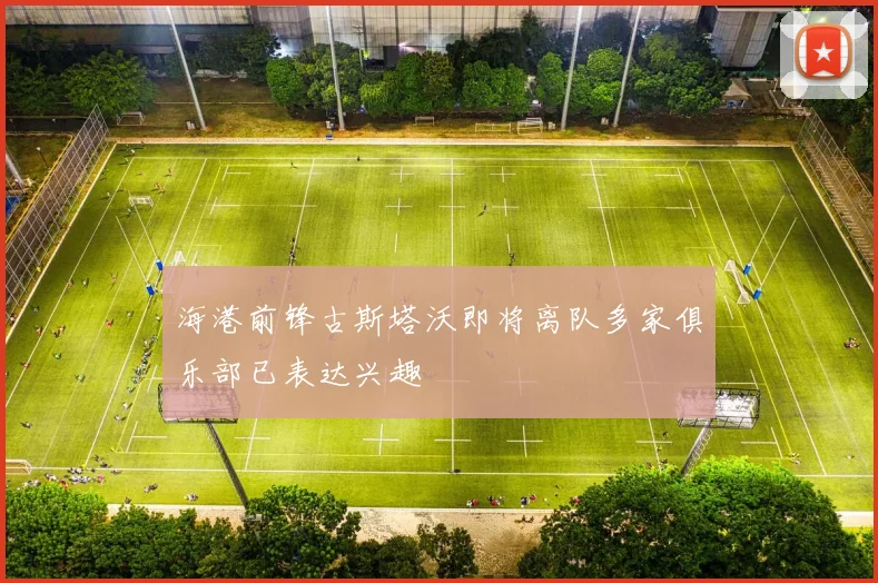 海港前锋古斯塔沃即将离队多家俱乐部已表达兴趣