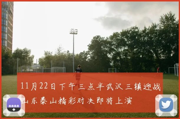 11月22日下午三点半武汉三镇迎战山东泰山精彩对决即将上演