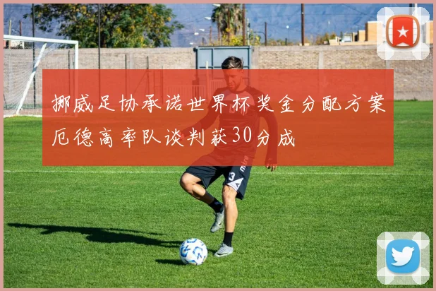 挪威足协承诺世界杯奖金分配方案厄德高率队谈判获30分成